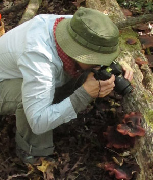 Headshot of IMA survey leader Lorinda Sues