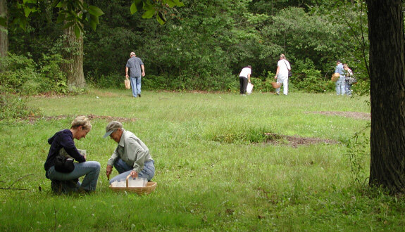 IMA members searching for mushrooms in the woods on an Illinois Mycological Survey.