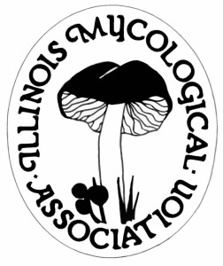 Illinois Mycological Association logo