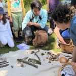 Mycology Survey